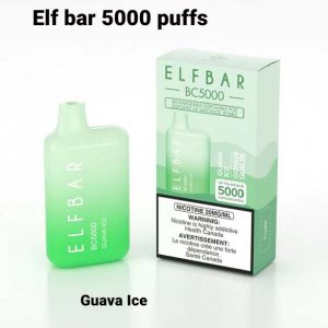 Elf Bar Guava Ice 5000 Puffs Disposable Vape