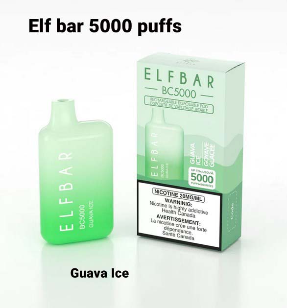 Elf Bar Guava Ice 5000 Puffs Disposable Vape